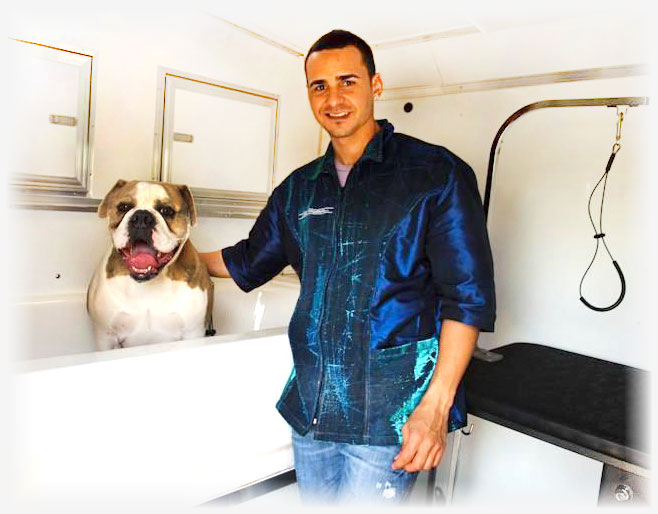 Mobile Dog Grooming North Vancouver Mobile Dog Grooming North Vancouver